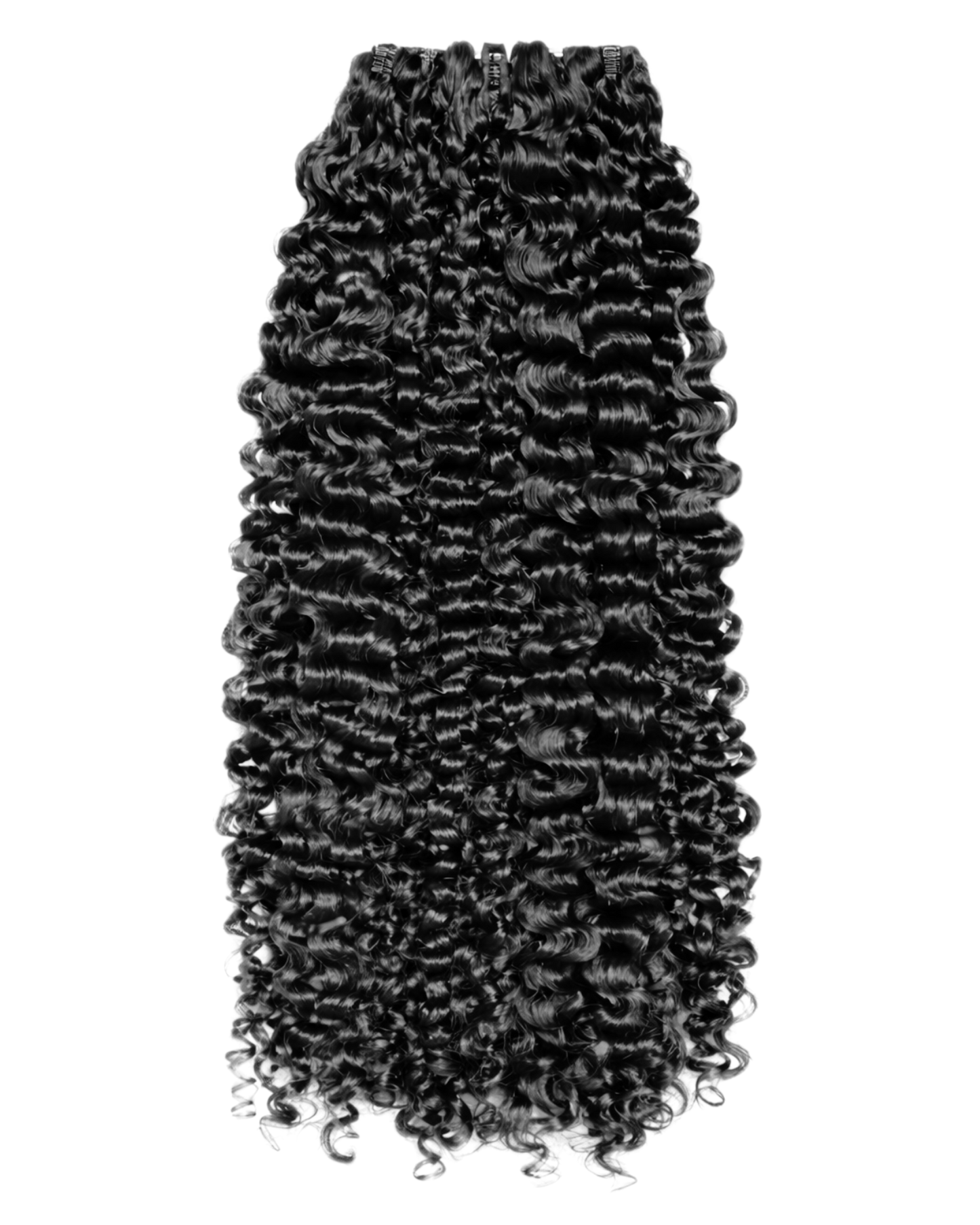 Raw Burmese Curly